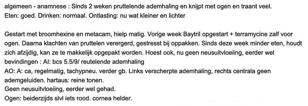 De rontgenfoto van de borstholte van cavia tygo